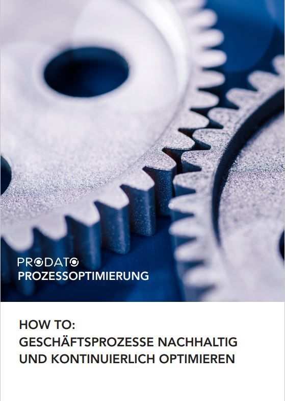 Whitepaper Prozessoptmierung