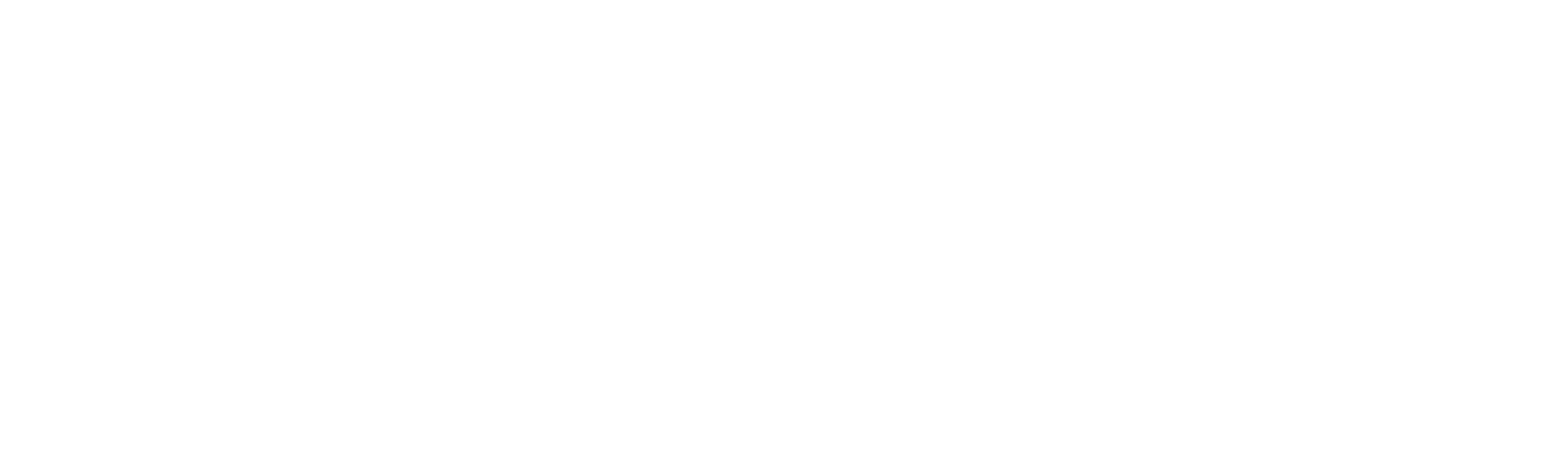 Qlik Logo WHITE