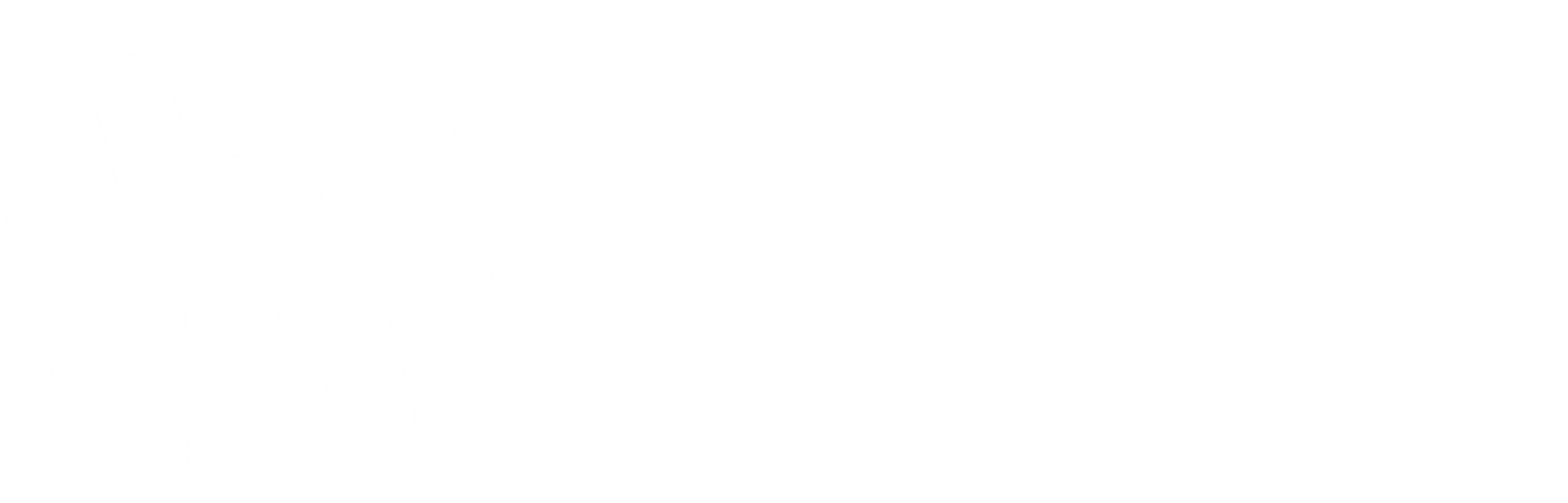 DataVirtuality white
